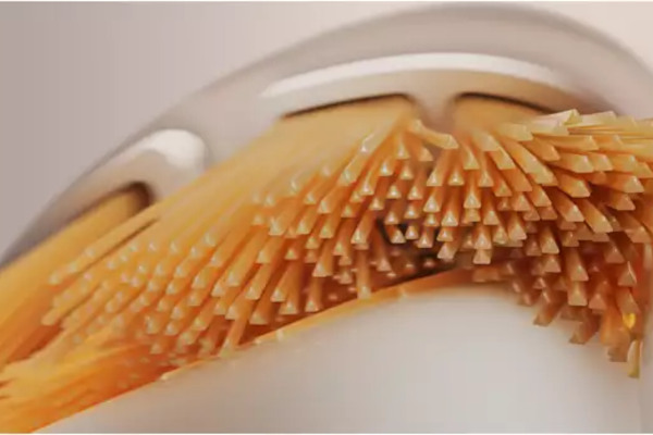  Końcówki do szczoteczki elektrycznej Philips Sonicare HX9092/87 